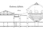 Schnitt des Anatomie-Gebäudes von 1895, Quelle: Kustodie, Kunstsammlung der Humboldt-Universität zu Berlin