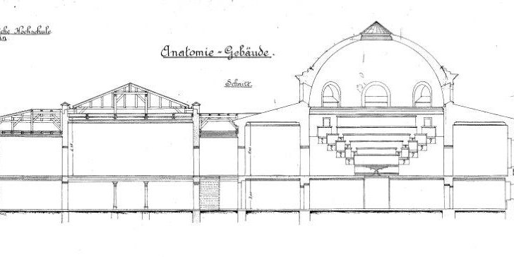 Schnitt des Anatomie-Gebäudes von 1895, Quelle: Kustodie, Kunstsammlung der Humboldt-Universität zu Berlin