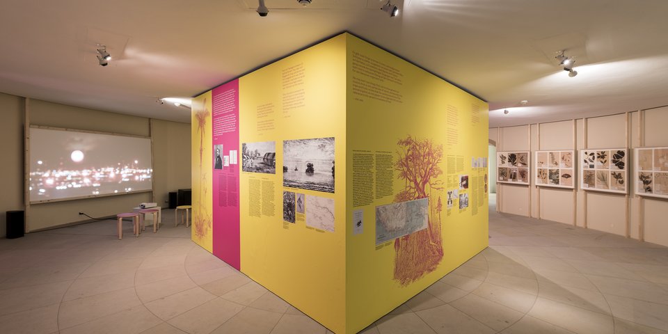 Downstairs gallery with Wallace cube. Exhibition view from Disappearing Legacies: The World as Forest at Tieranatomisches Theater of Humboldt-University Berlin. (Foto: Michael Pfisterer)