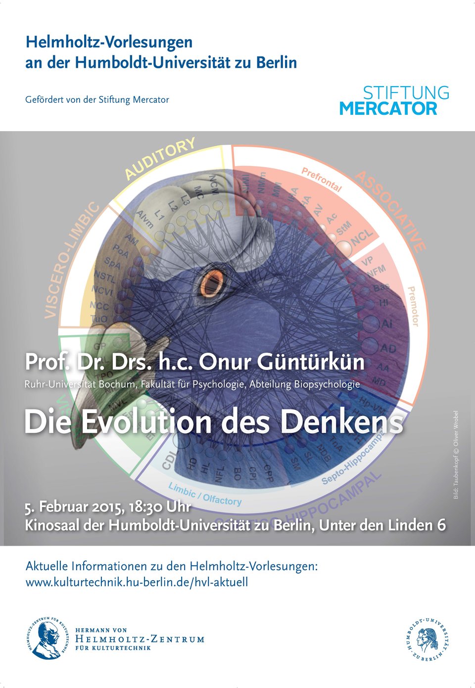 Bausch - Helmholtz Vorlesung Februar 2015