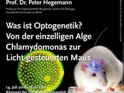 Hegemann - Helmholtz Vorlesung Juli 2016