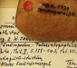 Magenstein eines Sauropoden