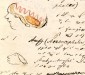 Mitschrift der Vorlesung Rudolf Virchows im Sommersemester 1858