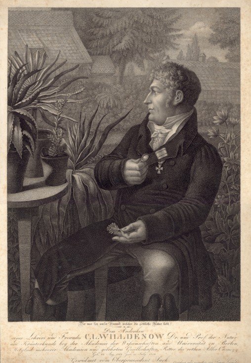 Carl Ludwig Willdenow