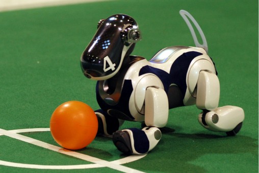 Wissenschaftliche Sammlungen der HU- Berlin Roboterhund AIBO ERS-7